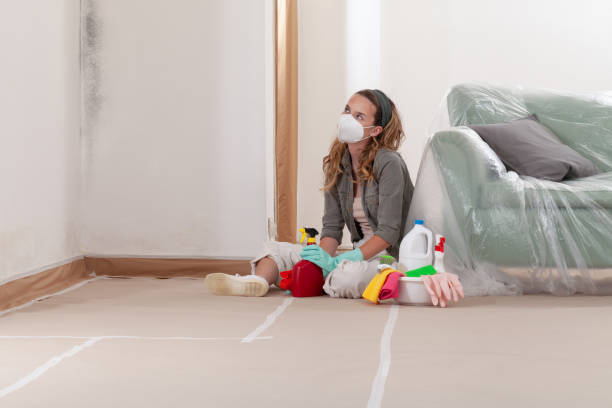 Reliable Basement Mold Remediation contractor in Fredericksburg, VA by WQB Mold Removal